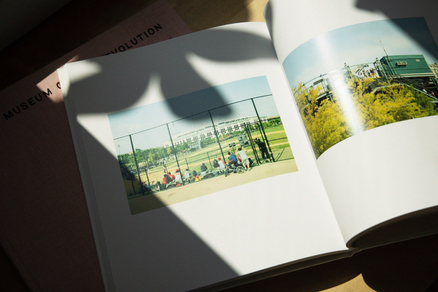 PhotoBook「ROOT ROOT ROOT」
